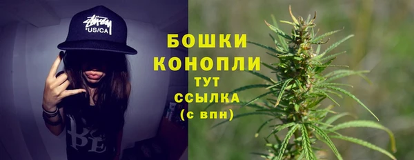mix Богородицк