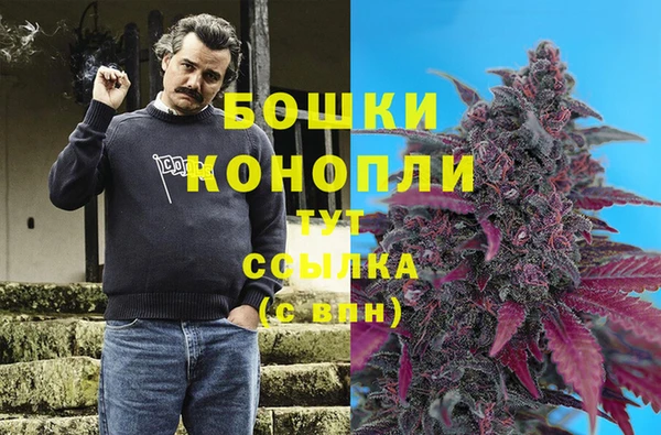 ALPHA-PVP Белокуриха