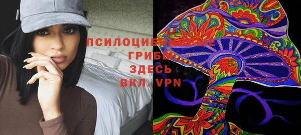 экстази Богданович
