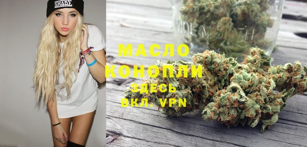 mix Богородицк
