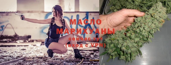 соль ск Тавда