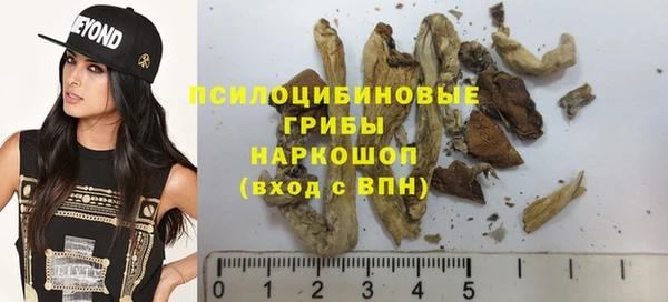 mdpv Тайга