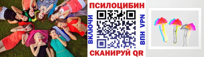 где купить   Великий Устюг  Псилоцибиновые грибы Psilocybine cubensis 