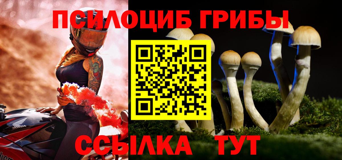 Великий Устюг  Псилоцибиновые грибы Magic Shrooms  Галлюциногенные грибы мицелий  где найти наркотики  Вход с VPN 